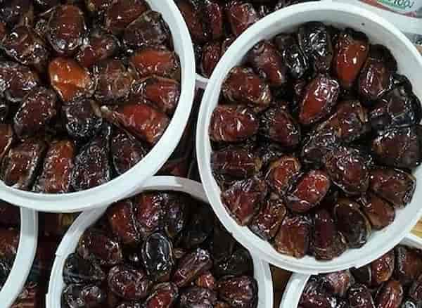 تصویر 1 از راهنمای خرید خرما کبکاب دشتستان + قیمت عالی